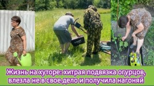 Жизнь на хуторе: хитрая подвязка огурцов, влезла не в своё дело и получила нагоняй