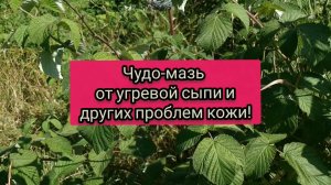 Чудо мазь от прыщей, пигментных пятен, папиллом   и других проблем кожи!