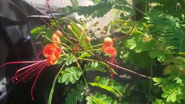 ПЕСНИ ДЛЯ ДУШИ | НАСТОЯЩИЙ РУССКИЙ ШАНСОН, КОТОРЫЙ ЗАДЕВАЕТ ДУШУ #русскийшансон #шансон #музыка смотреть онлайн