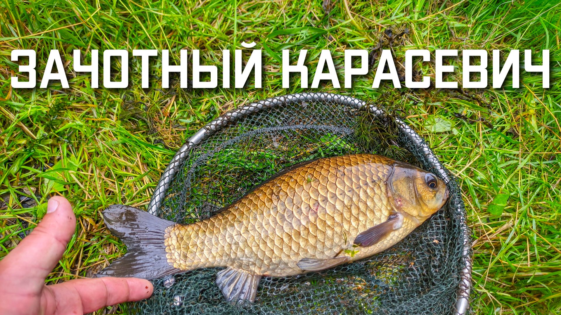 Хорошая рыбалка на карася летом видео смотреть онлайн