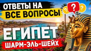 Где купить симку в Египте? Экскурсии в Шарм-эль-Шейхе. Стоит ли ехать и что взять с собой