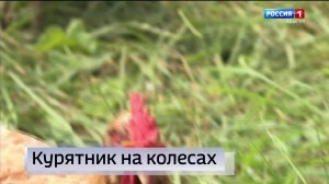 21.10- «Вести. Адыгея» от 09.07.2026г.