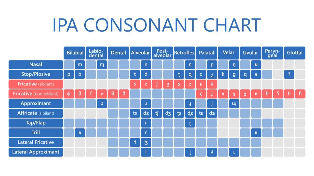 Таблица согласных звуков МФА - IPA Consonant Chart