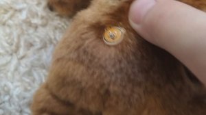 олимпийский Мишка
