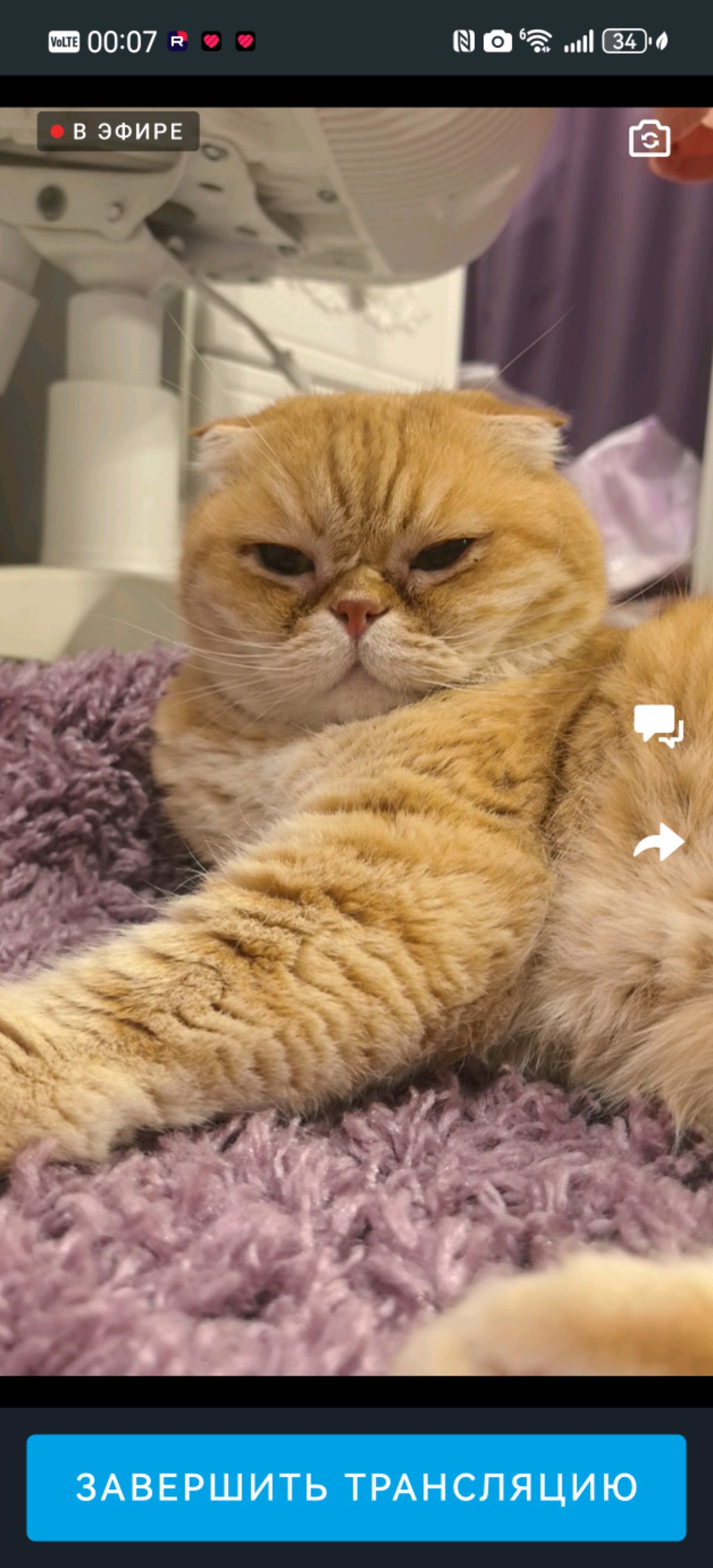 Заходим ночьной стрим😍 смотреть онлайн