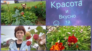 09-07-2026 Странные у меня дети🤷
