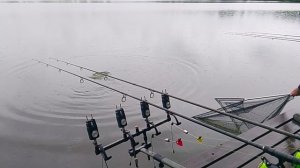 Карповая рыбалка, ловля карпа на 9-м водоёме РК «Фишка Петряиха»