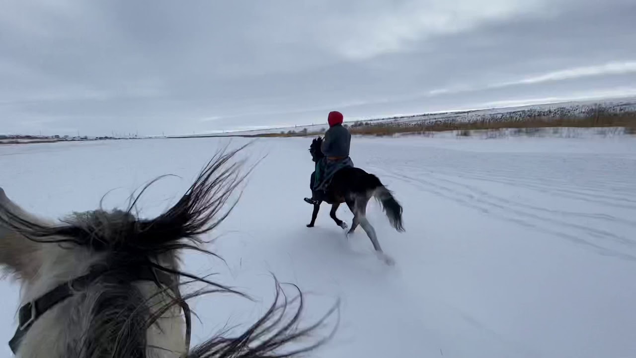 Погода бомба 👍 скоро придёт стабилизатор видео будут качественнее смотреть онлайн