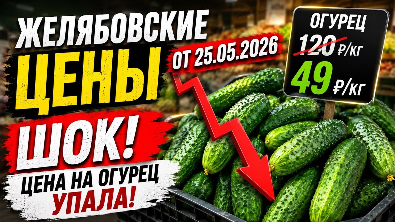 Желябовка. Обзор цен от 25.05.2026 смотреть онлайн