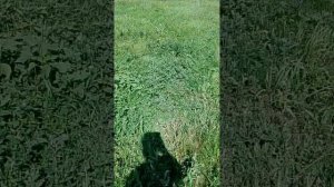 идем в заброшку