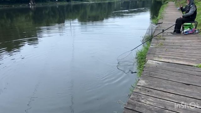 Утро на водоёме смотреть онлайн