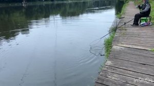 Утро на водоёме