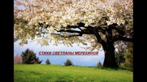НЕПОДАРЕННЫЕ РОЗЫ 2