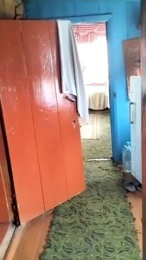 я у себя в деревне с бабушкой и дедушкой