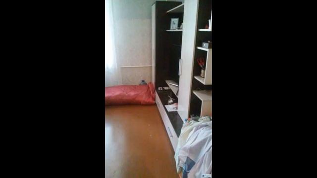 Продам 2-х ком. кв-ру в Омске. САО. срочно.нед... смотреть онлайн