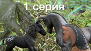 Сериал «Она не твоя» /1Серия : Пропавшая сестра//Лошади шляйх//))
