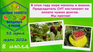 В этом году море малины и вишни. Председатель СНТ настаивает на оплате чужих долгов. Мы против!