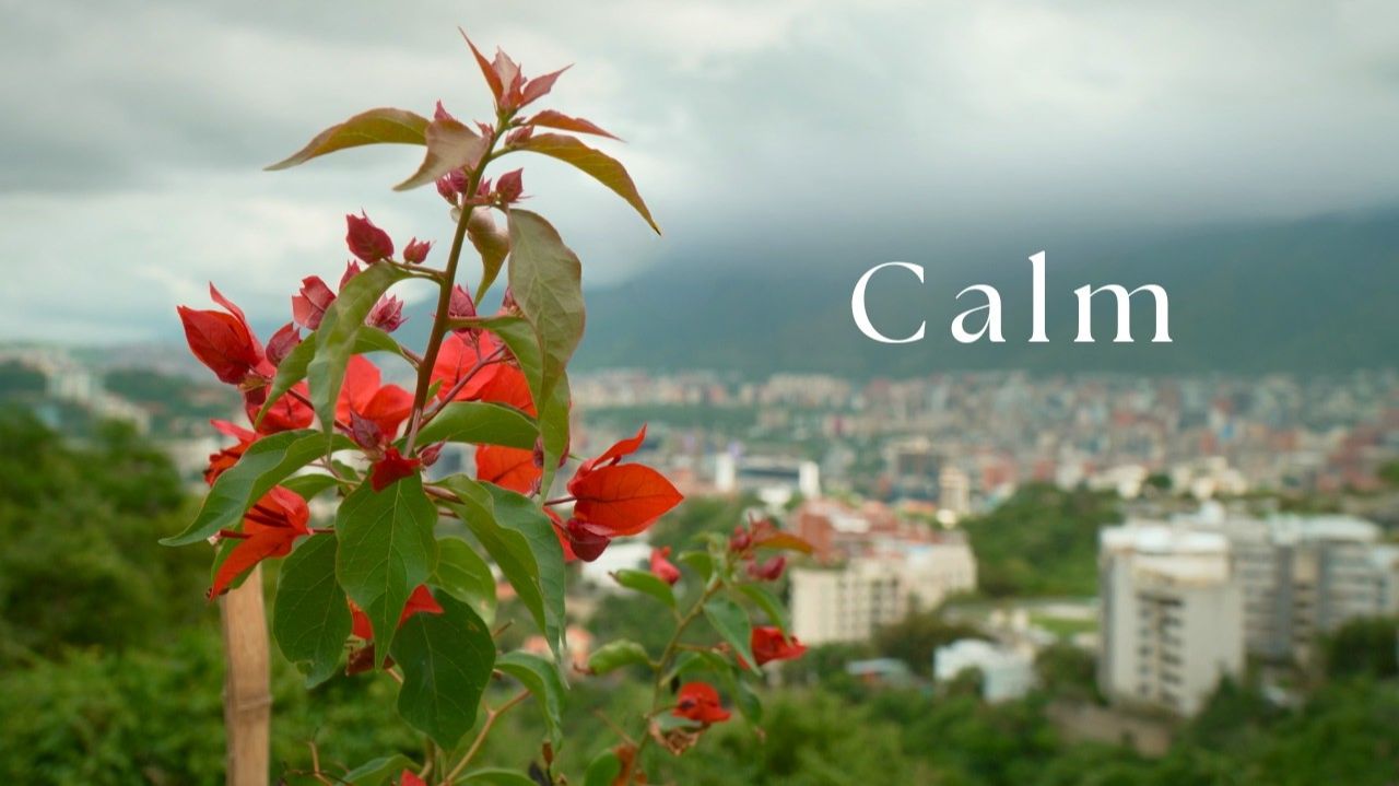 Music for Hope and Healing | When Calm Returns смотреть онлайн