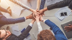 Недобросовестные и добросовестные подписчики. Отделяем зерна от плевел