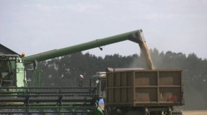 В Воронежской области стартовала уборочная кампания