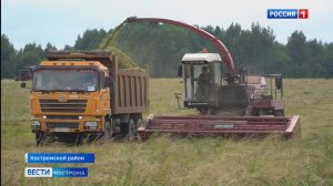 Летнее безделье толкает костромских подростков на скользкую дорожку