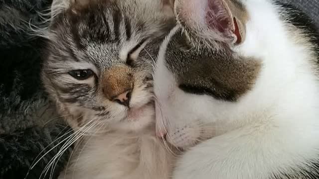 Любовь смотреть онлайн
