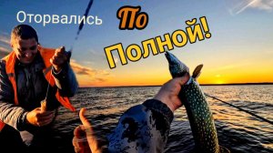 Такая рыбалка только раз в год! Самая короткая ночь и поклёвки