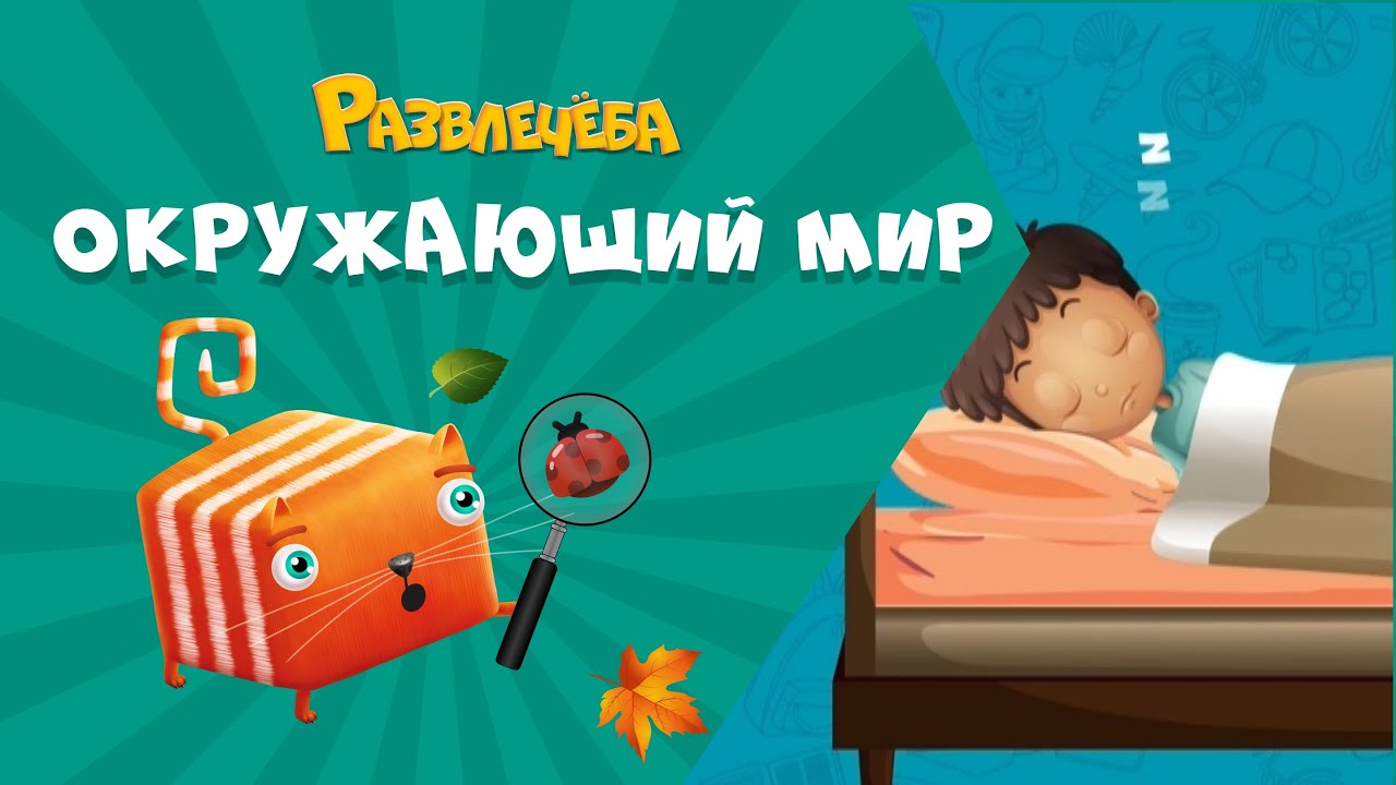 Развлечёба. Что будет, если...перестать спать