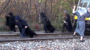 Гендальф и его братство