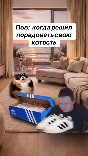 Котость