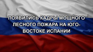 Появились кадры мощного лесного пожара на юго-востоке Испании