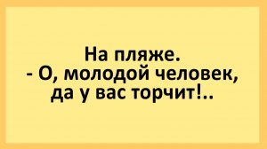 На пляже. О, молодой человек, да у вас торчит!... | Анекдоты смешные | Юмор