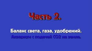 Часть 2. Баланс света, газа СО2, удобрений.