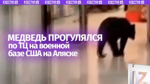 Пришел, украл персик, ушел: медведь прогулялся по ТЦ на военной базе на Аляске