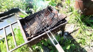 ЖИР и НАГАР исчезнут сами! Лучший СПОСОБ очистить решётку барбекю