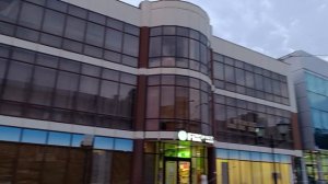 Стрижи в городе