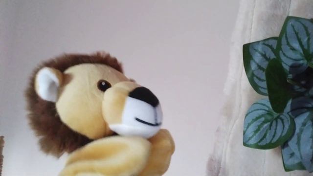 Песня "Зубной врач для крокодила". Автор и постановщик-исполнитель: Розалия Шейхон. 06.06.2025. смотреть онлайн