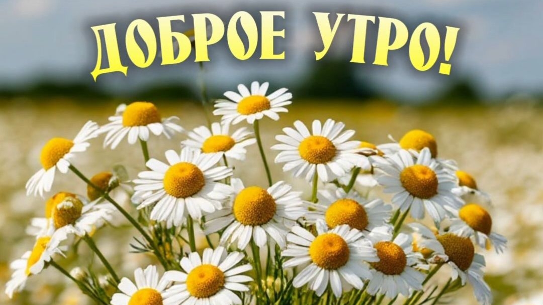 Доброе солнечное утро! Роскошная музыкальная открытка. смотреть онлайн