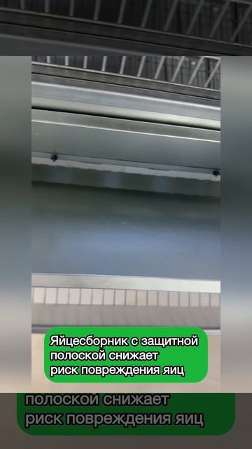 Рамная клетка 2 в 1 для кур-несушек и бройлеров 0734 Премиум