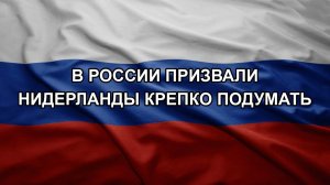 В России призвали Нидерланды крепко подумать
