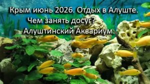 Крым июнь 2026. Отдых в Алуште. Чем занять досуг? Алуштинский Аквариум.