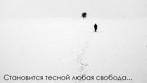 «Становится тесной любая свобода...»