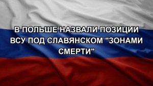 В Польше назвали позиции ВСУ под Славянском «зонами смерти»