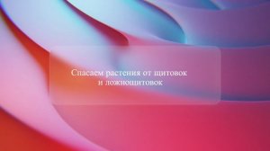 Спасаем растения от щитовок и ложнощитовок