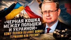 Михаил Делягин | «Черная кошка между Польшей и Украиной». Кому поляки объявят войну?
