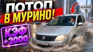 яндекс доставка - потоп в Мурино! КЭФы +1000 +2000