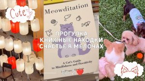 Идеальный выходной: прогулка, книжные находки и счастье в мелочах