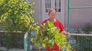 Официально Я. ДОМАШНИЕ ДЕЛА БЕЗ ПРИКРАС