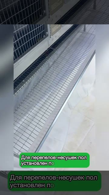 Рамная клетка 2 в 1 для перепелов увеличенная кормушка, система "Антизапах" 0755 Премиум