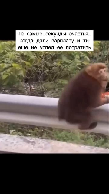 Секунды счастья 😂